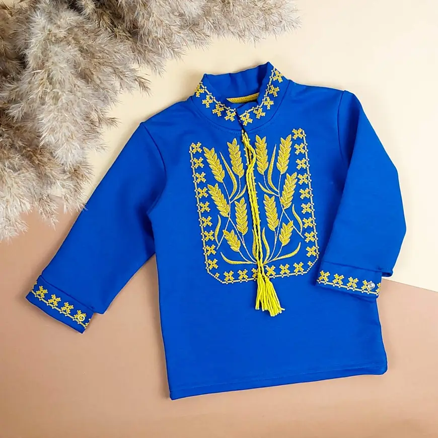 vyshyvanka-dlia-khlopchyka-kolosky-dovhyi-rukav30447-97380468088851.webp